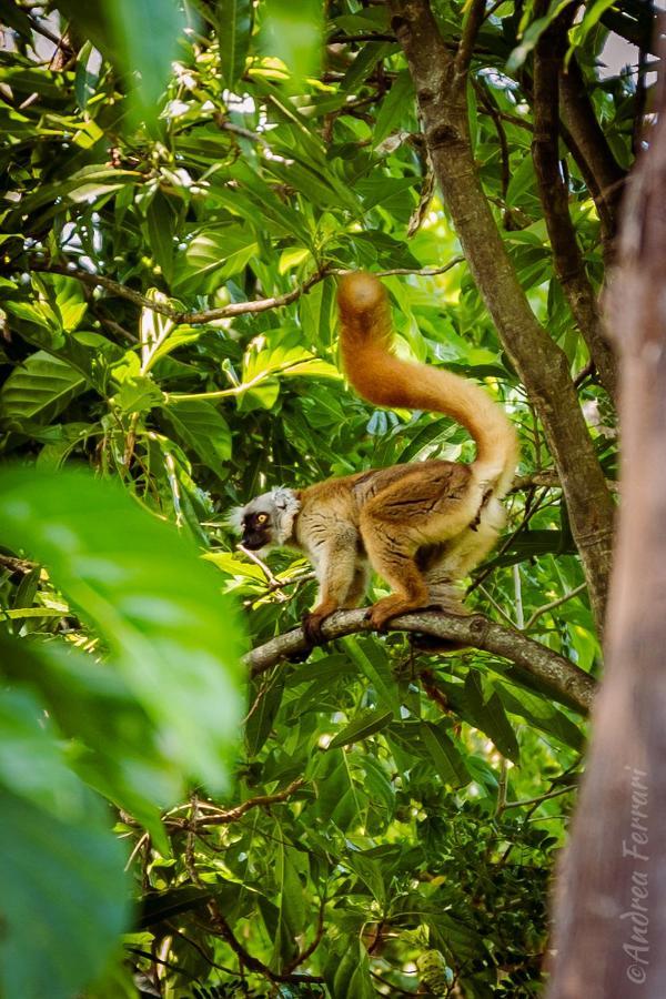 Sakatia LodgeAmpasimena エクステリア 写真