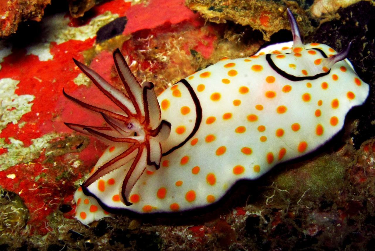 Sakatia LodgeAmpasimena エクステリア 写真