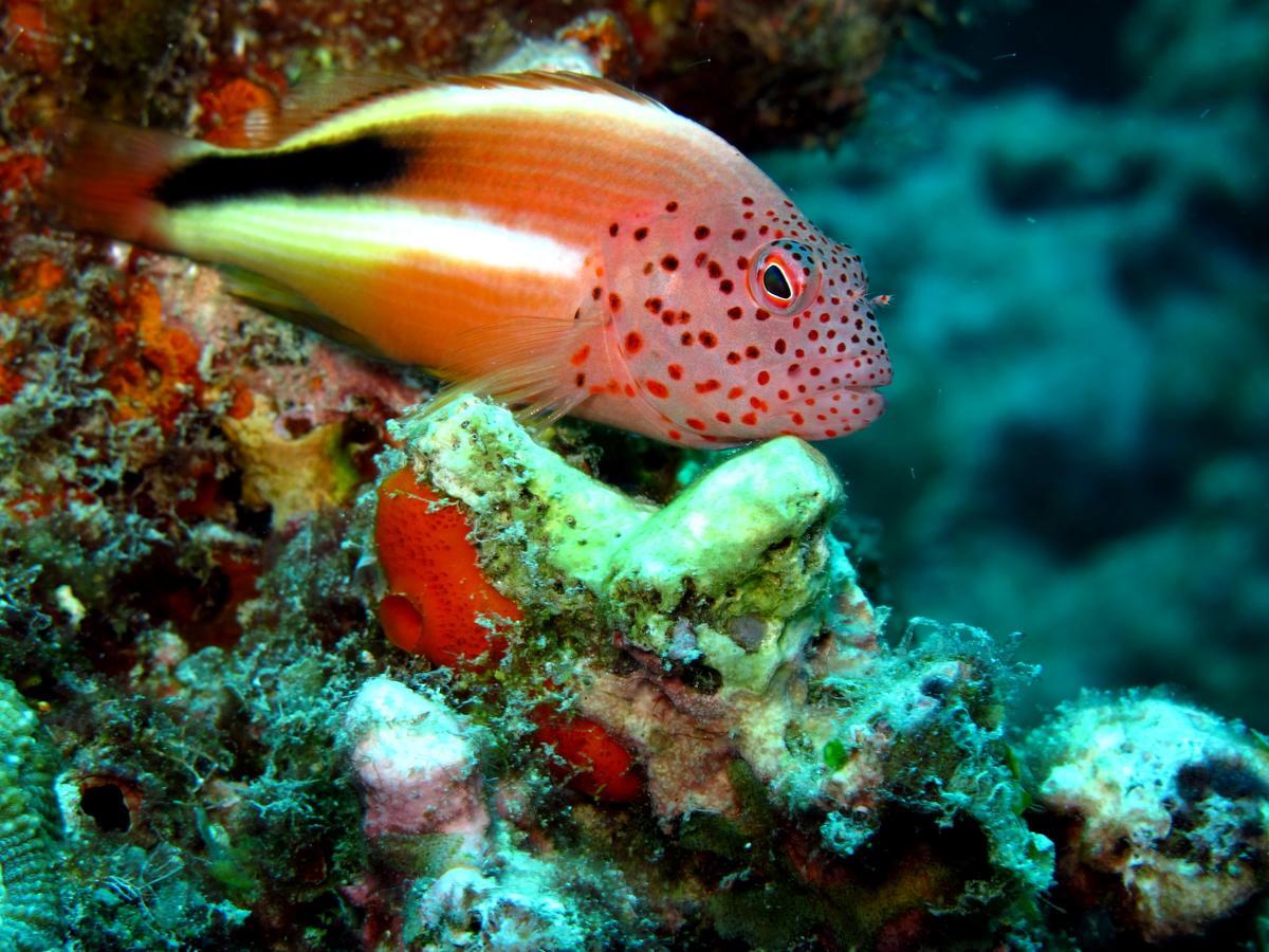 Sakatia LodgeAmpasimena エクステリア 写真