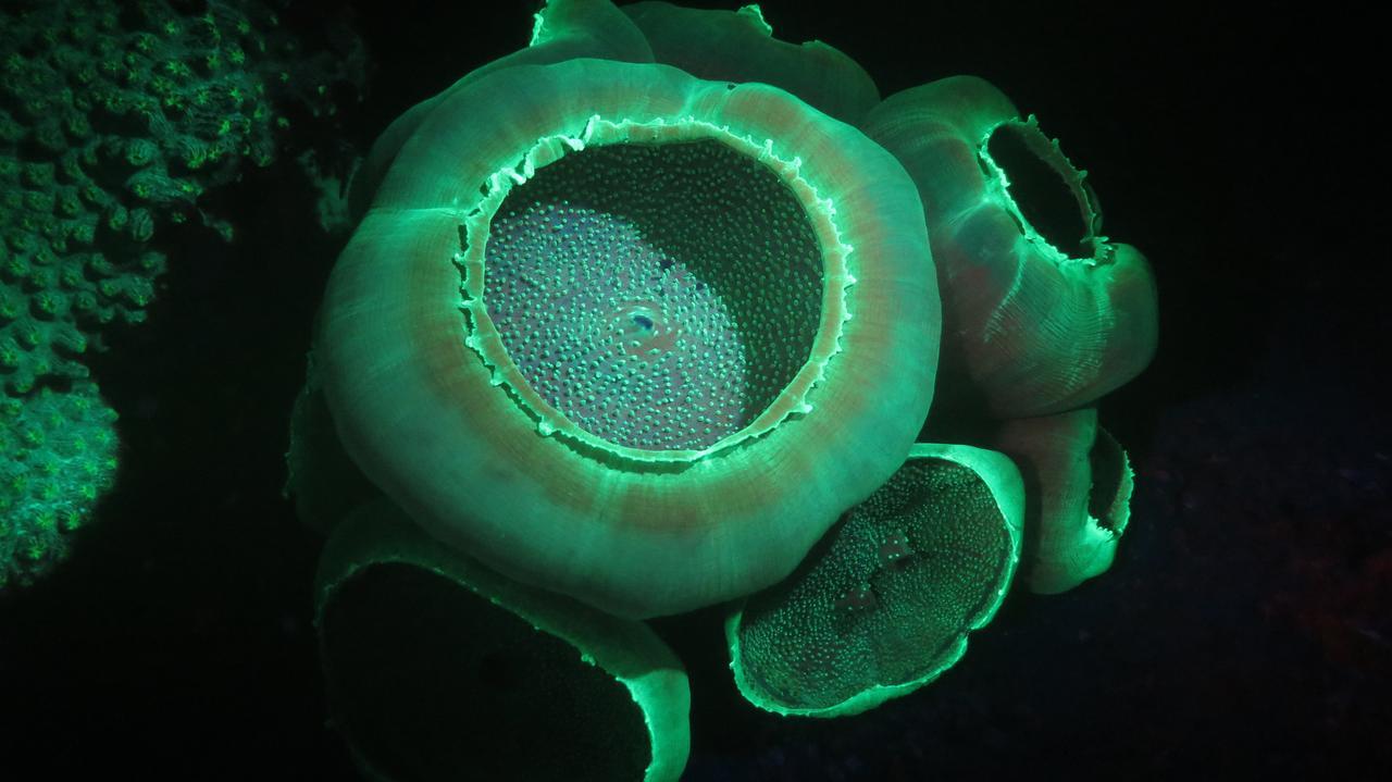 Sakatia LodgeAmpasimena エクステリア 写真