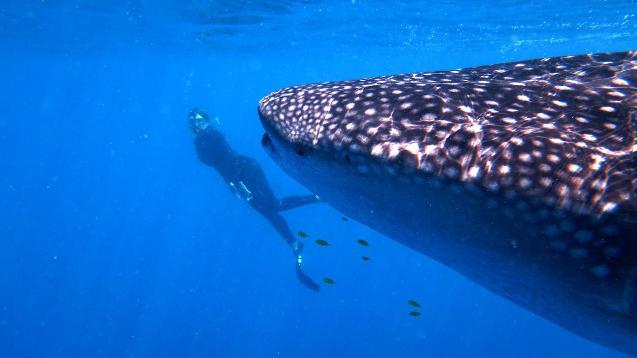 Sakatia LodgeAmpasimena エクステリア 写真