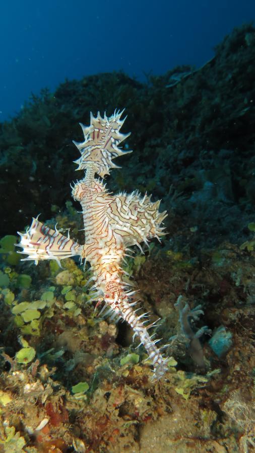 Sakatia LodgeAmpasimena エクステリア 写真