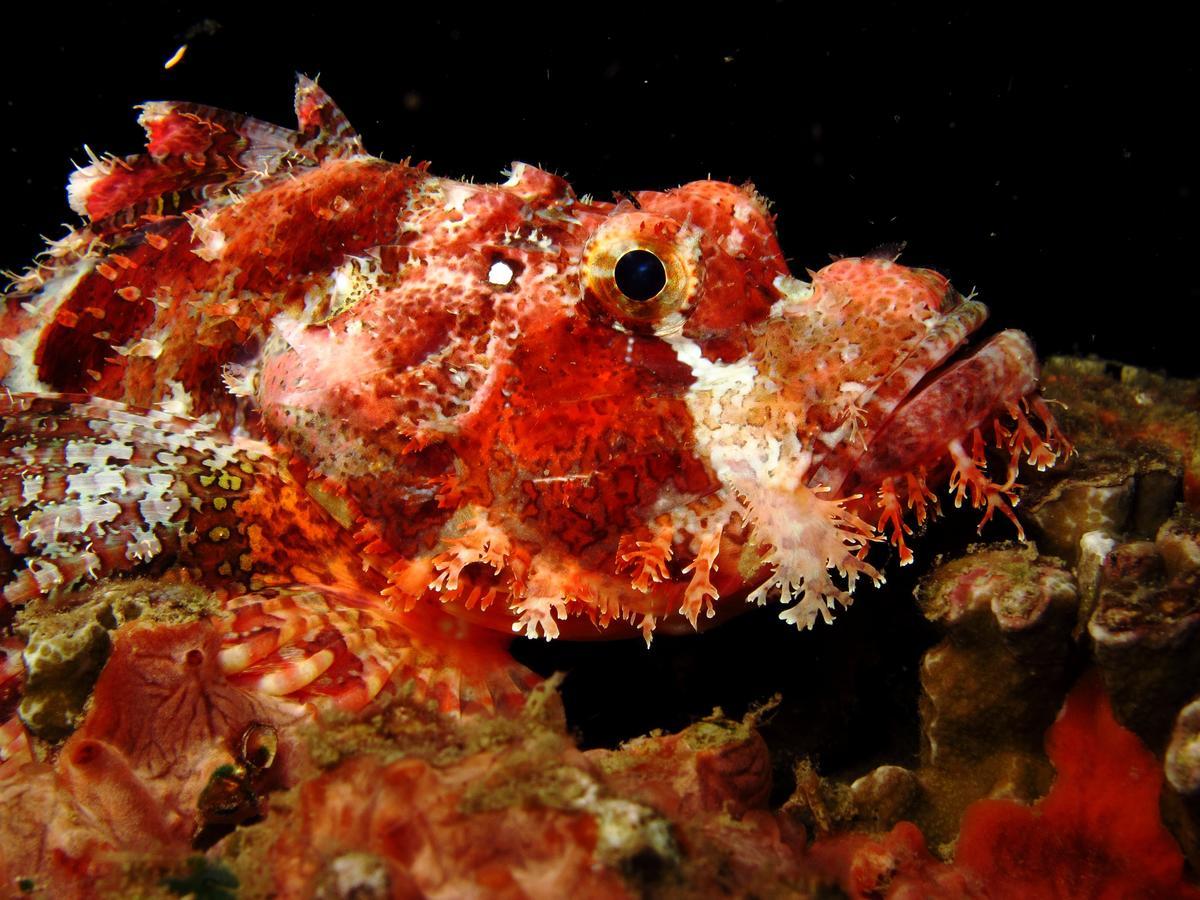 Sakatia LodgeAmpasimena エクステリア 写真